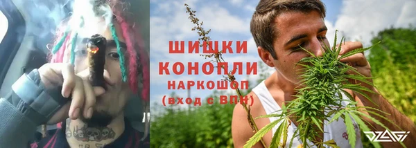 амф Бронницы