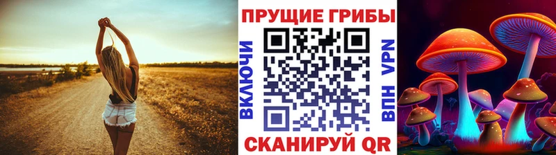 Галлюциногенные грибы Psilocybine cubensis  Купить закладки  Холмск 